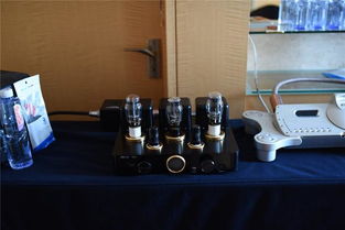 hifi產(chǎn)品從幾十元到幾百萬元不等 第15屆新深圳音響展的浮光掠影